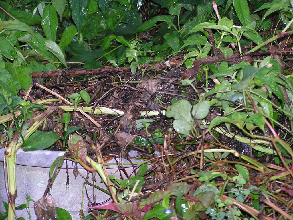 P9050006