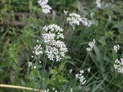 P9100185