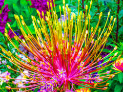 花火