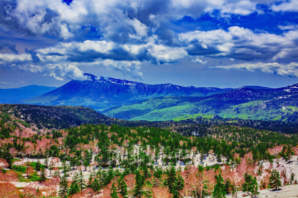 八幡台からの眺め