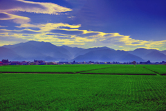 朝霧小町