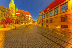 共存の路