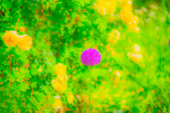 公園の一角