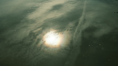 水の中の太陽