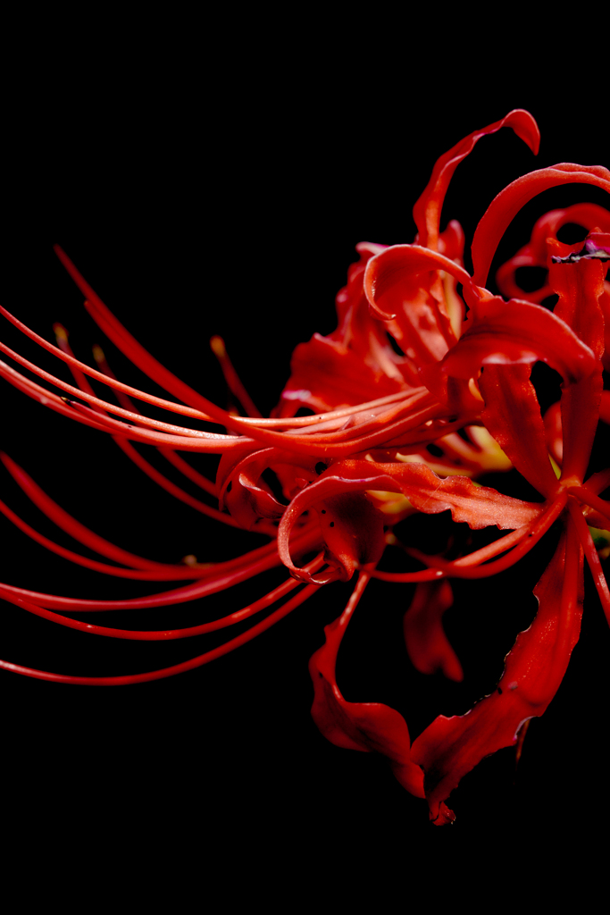 IMG_6961
