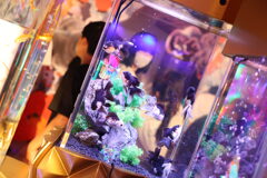 金魚のアクアリウム
