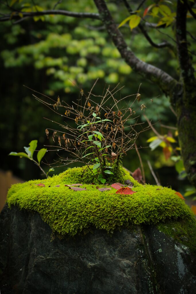 無人島