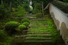 苔のむすまで