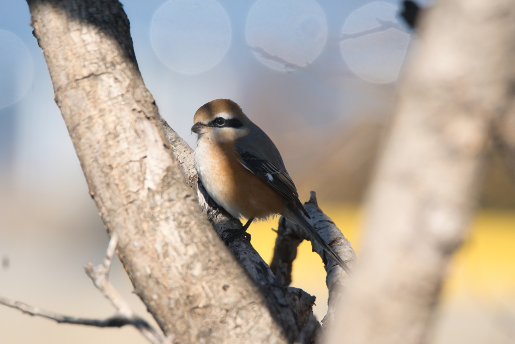 隙間からこんにちは