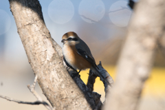 隙間からこんにちは