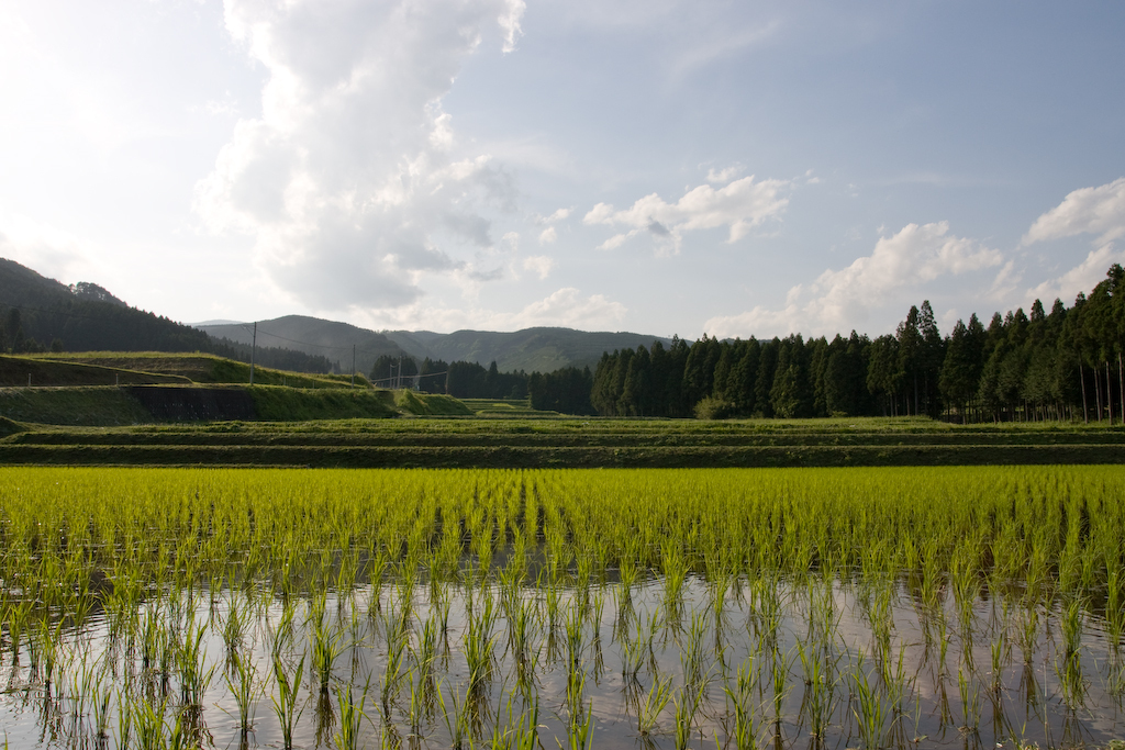 eos40d.1805.17-50mm