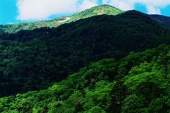 DSCF0028