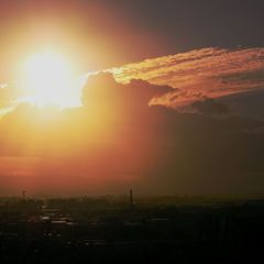 _9030032