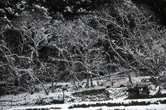 雪景色_003