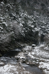 雪景色