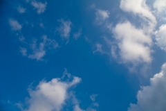 空001