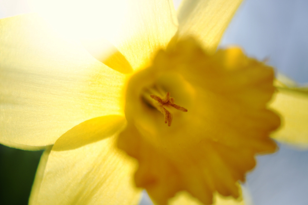 irradiation