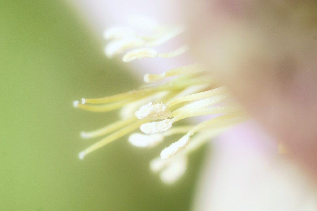 求めて・・