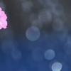 ｄｒｅａｍ　ｏｆ　ペチュニア