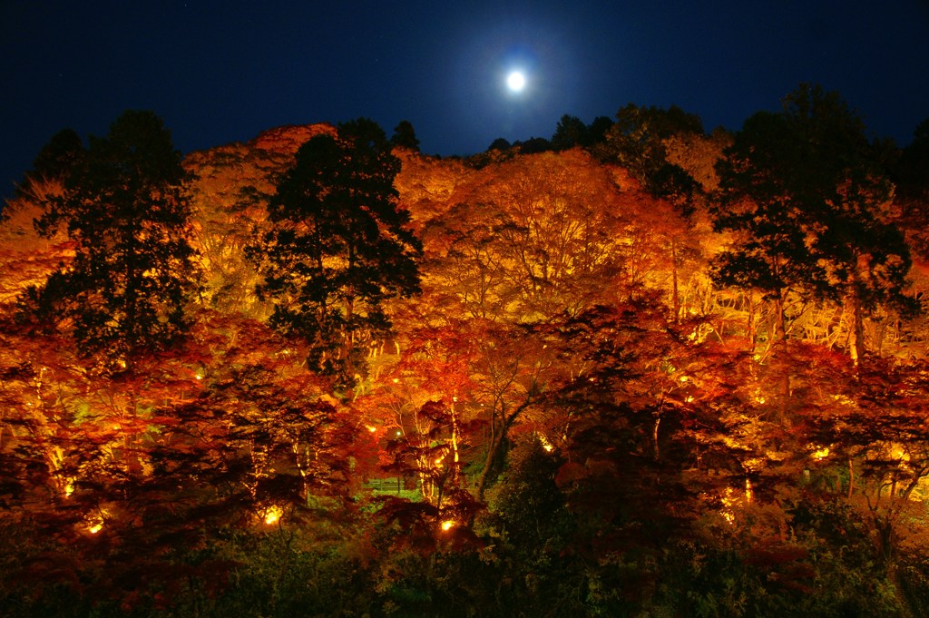山燃ゆる秋の夜