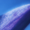 花びらに生きる星達