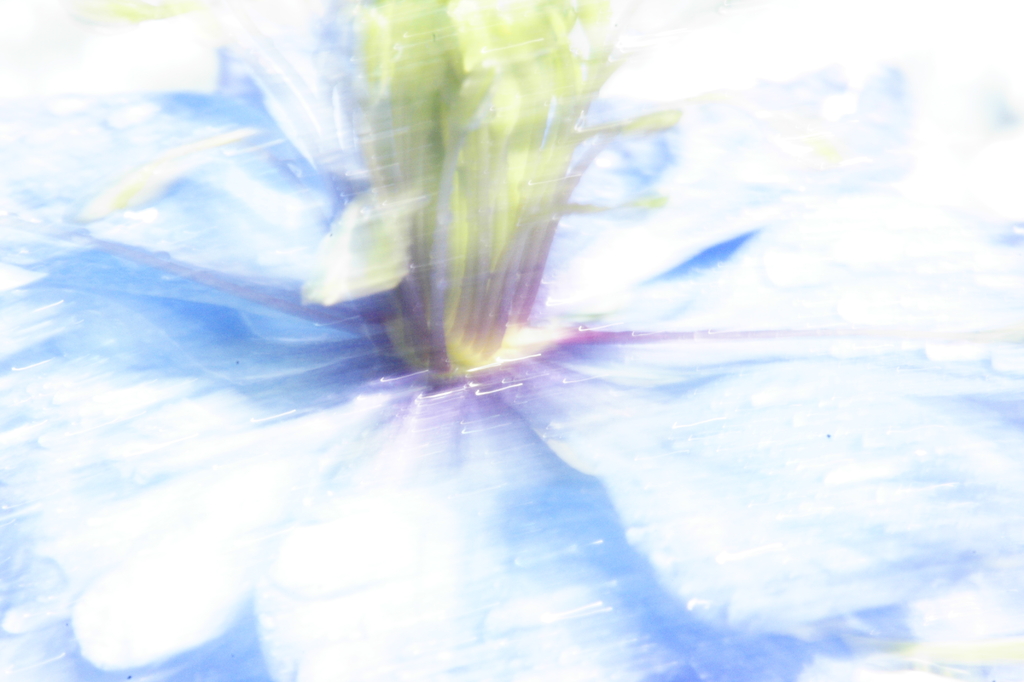 躍動