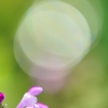 目覚めの時