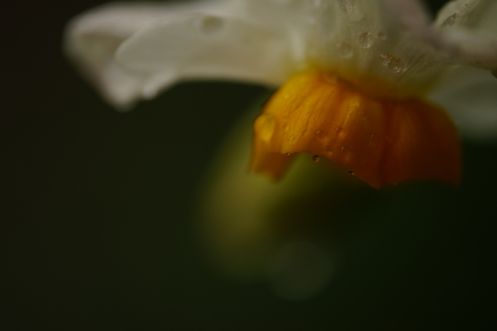 雨降って