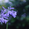 雨降る中で