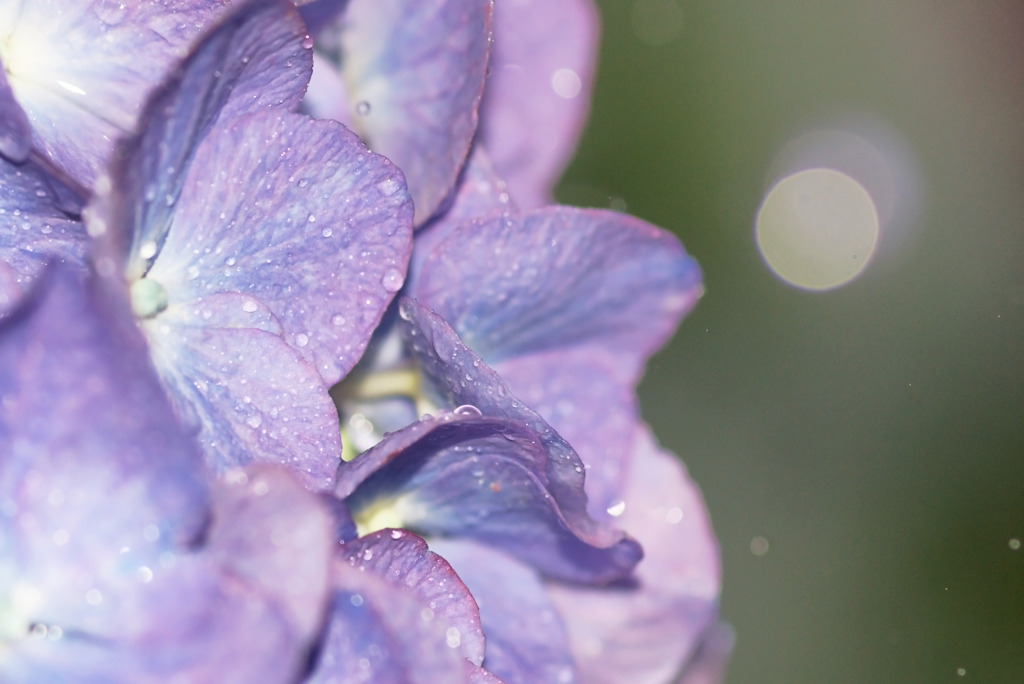 雨降り