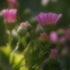 春待わびて