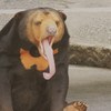 僕つかれちゃった・・