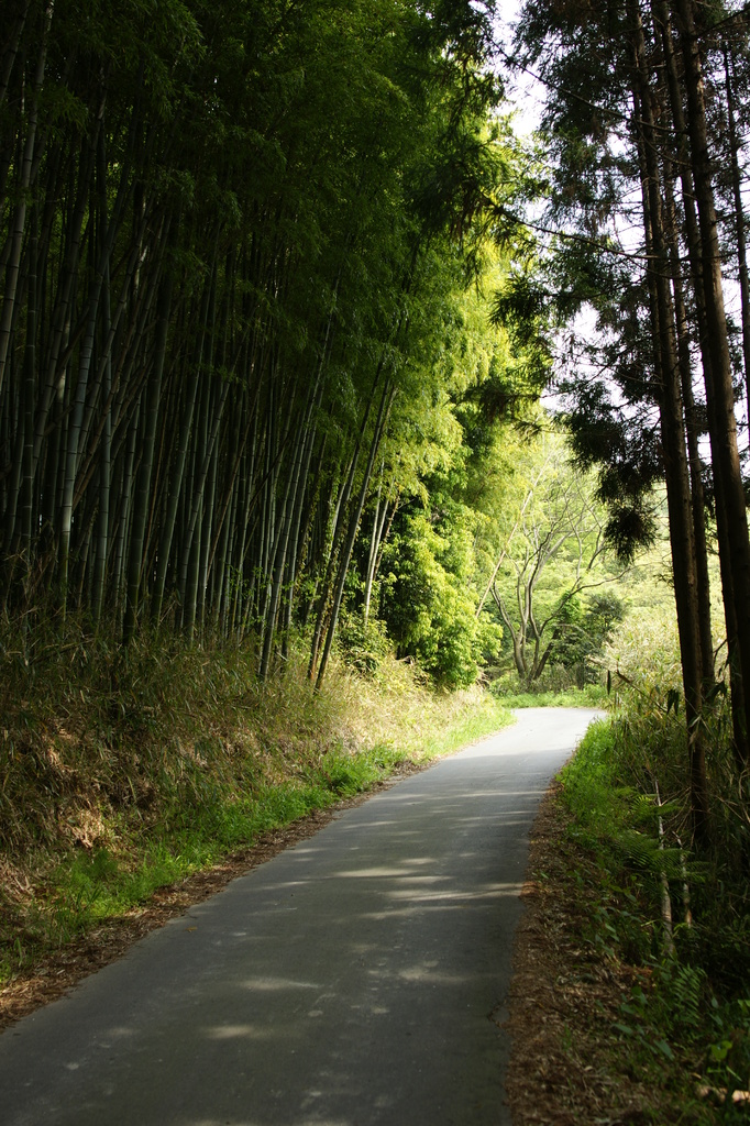 林道