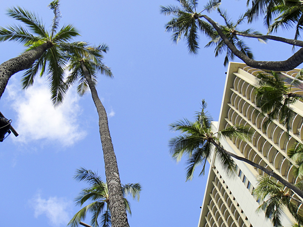 2011-08-07 Hiltonプール土曜日_TX1 003