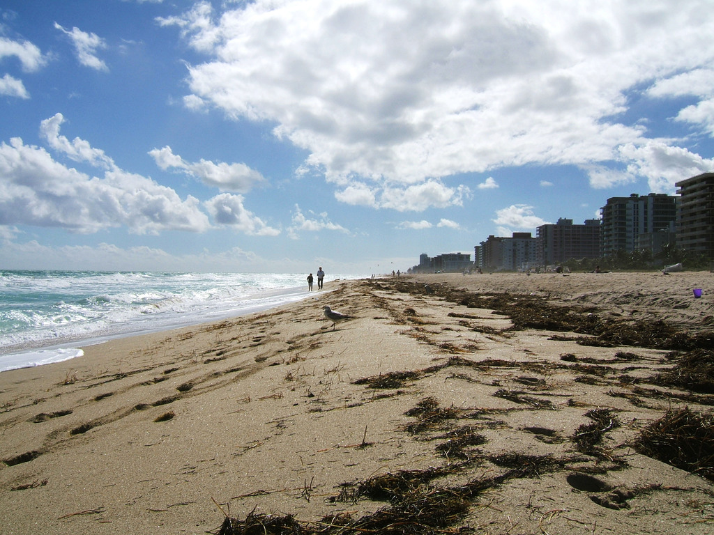 Bal Harbor in Florida