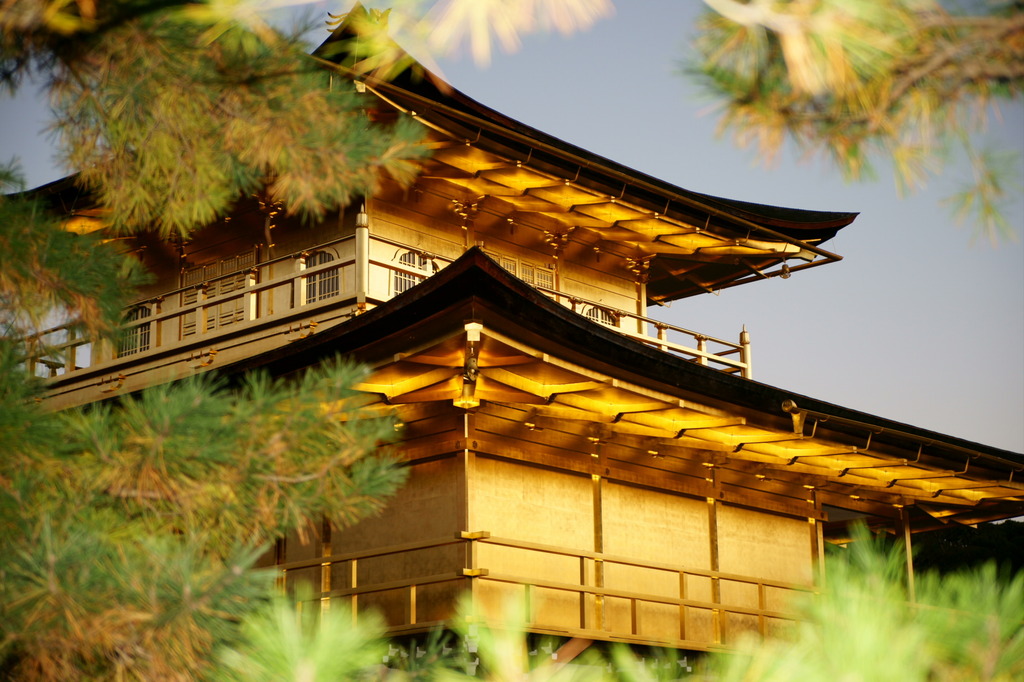Golden Temple 金閣寺