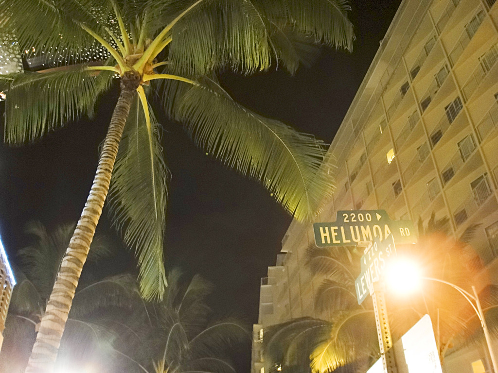 2011-08-03 Waikiki Beach Walk_TX1 007