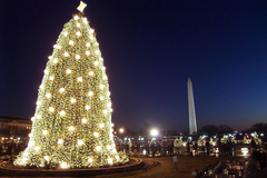 White House Christmas Tree