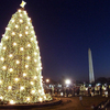 White House Christmas Tree