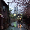 黄金町よりランドマークタワーを臨む_Lumix 040
