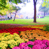 Autumn colors in Central Park