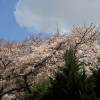 板橋区大原町