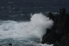 八丈島