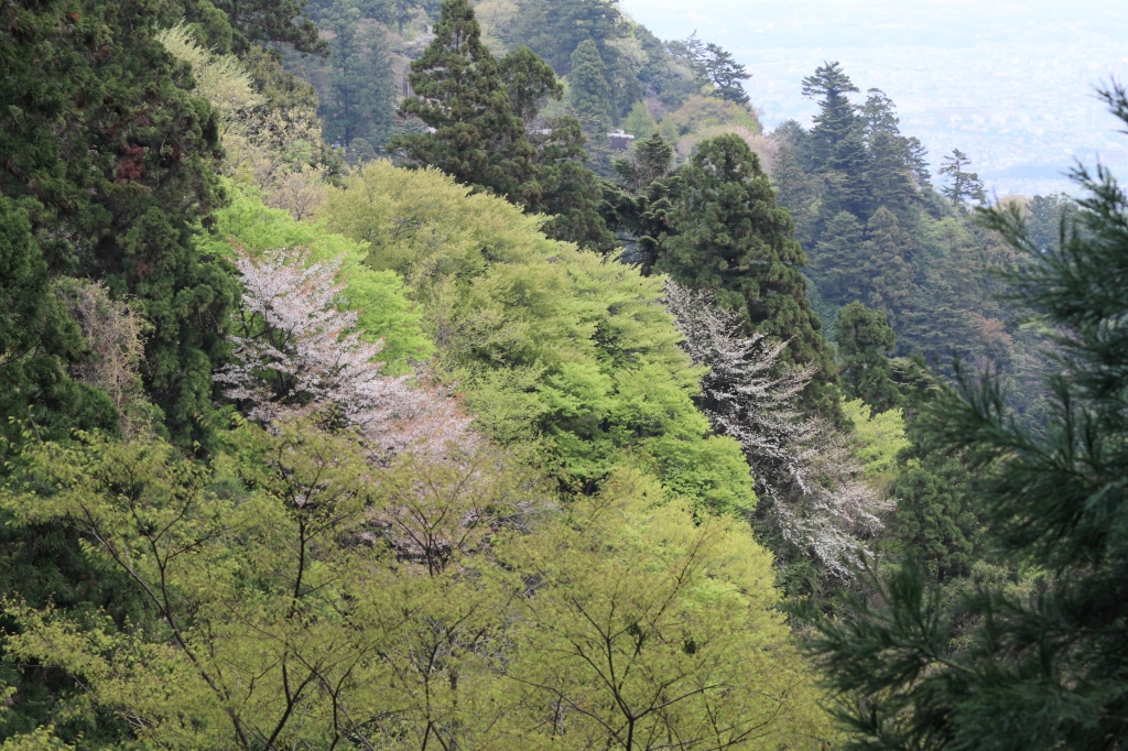 高尾山