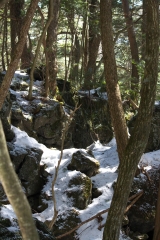 青木ヶ原樹海遊歩道