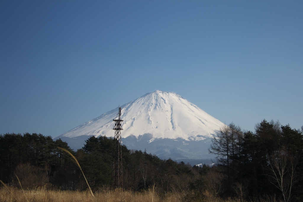 鳴沢から見た富士