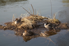 見次公園