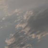 11月6日