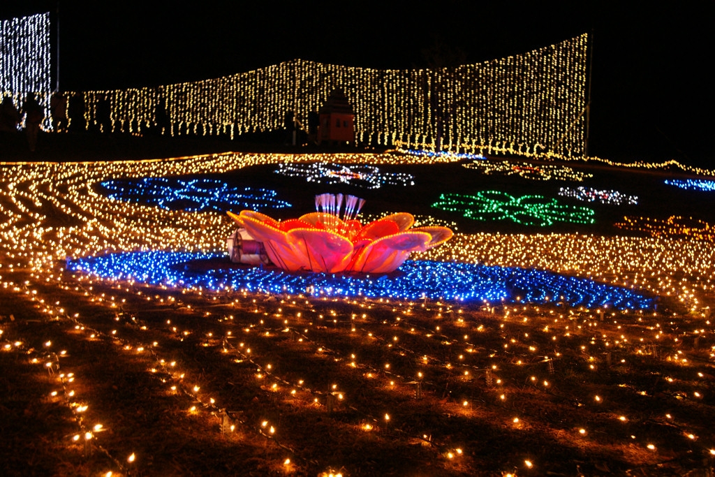 昭和記念公園イルミネーション