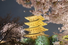 東寺　五重塔　ライトアップ